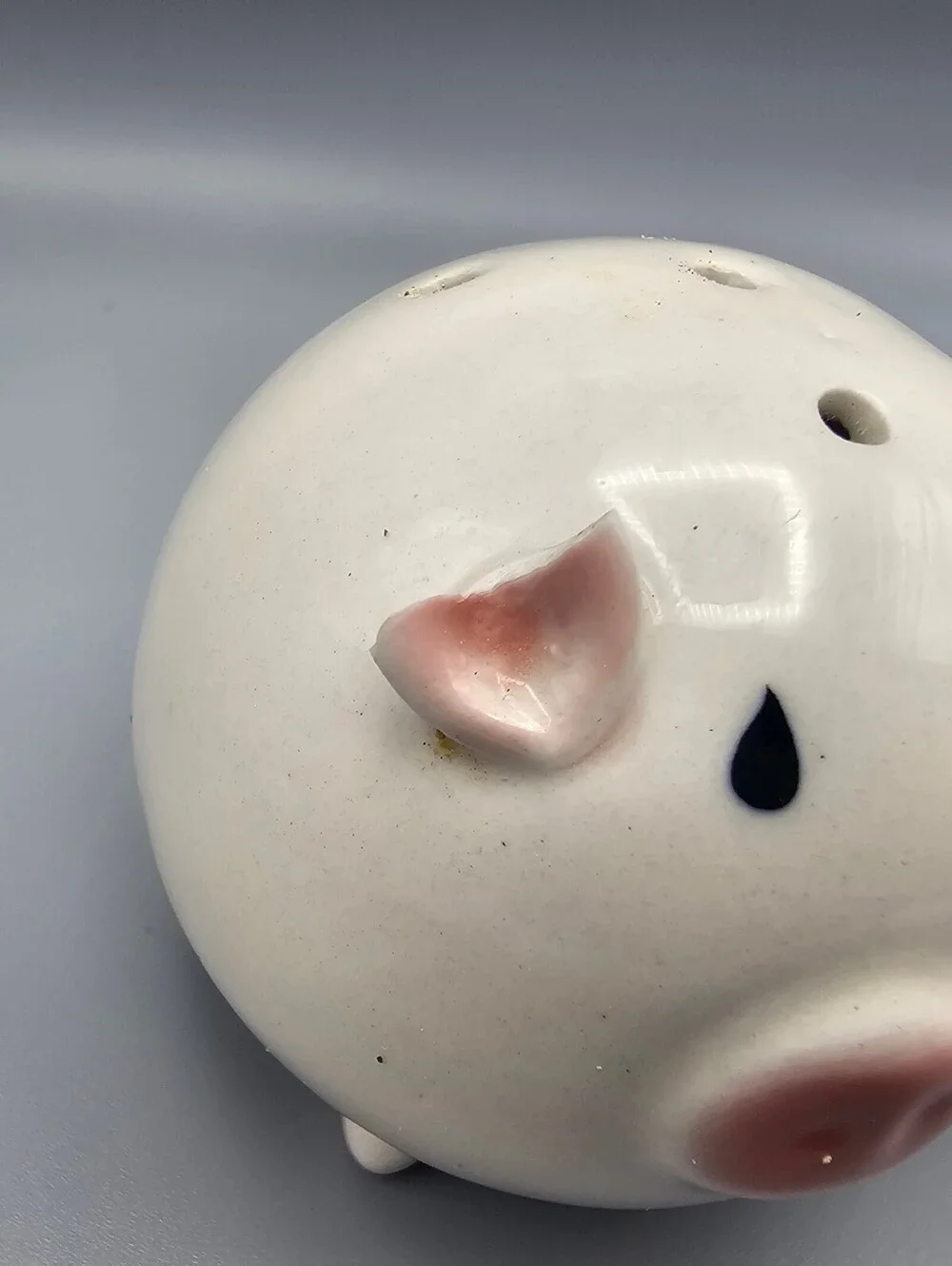 Ceramic Pig-Shaped Salt and Pepper Shakers Set